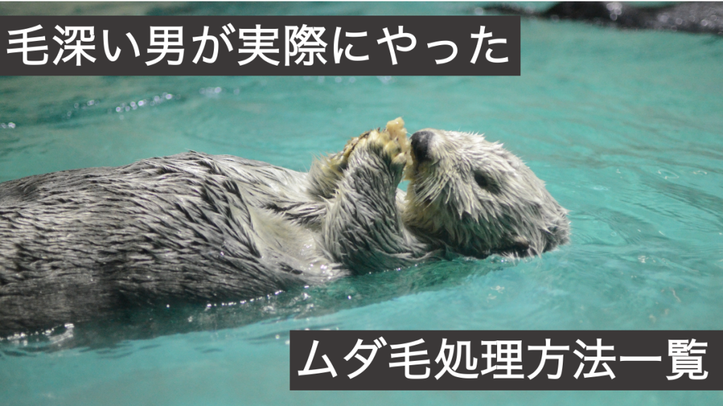 ムダ毛処理方法一覧　一番毛深い動物ラッコ