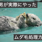 ムダ毛処理方法一覧　一番毛深い動物ラッコ